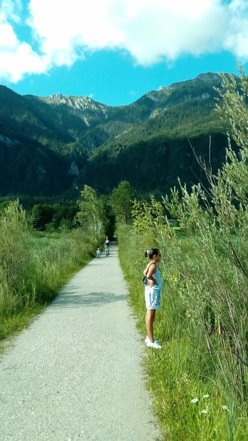 Hotel Landhaus Tirol Presseggersee Zewnętrze zdjęcie