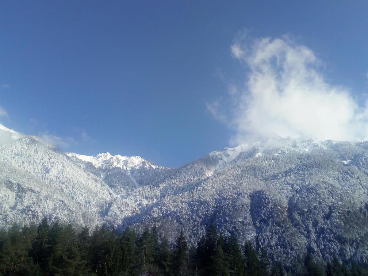 Hotel Landhaus Tirol Presseggersee Zewnętrze zdjęcie